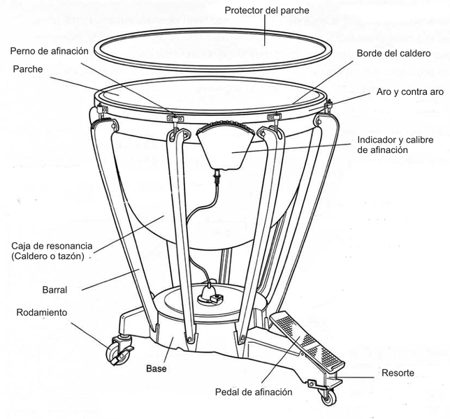 Parted del TImbal a Pedal